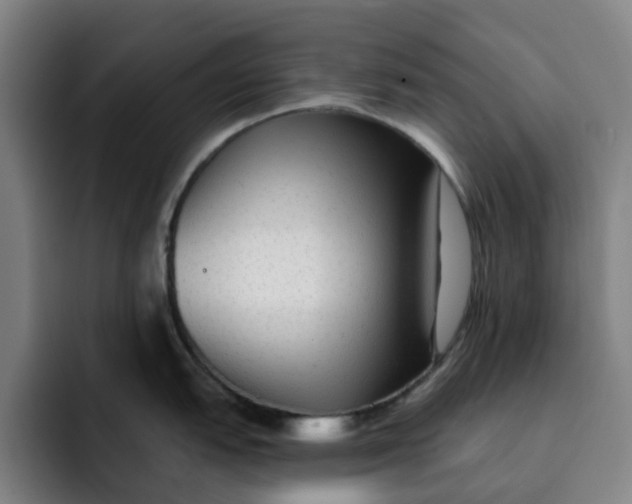 X0000091891151200709261635