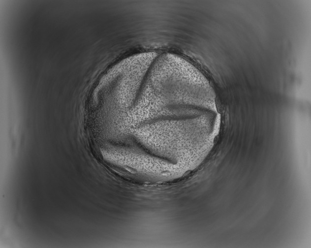 X0000091891153200709261634