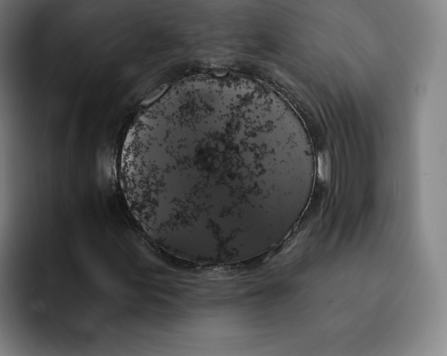 X0000091891155200709261634