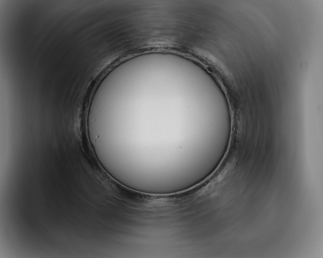 X0000091891162200709261634