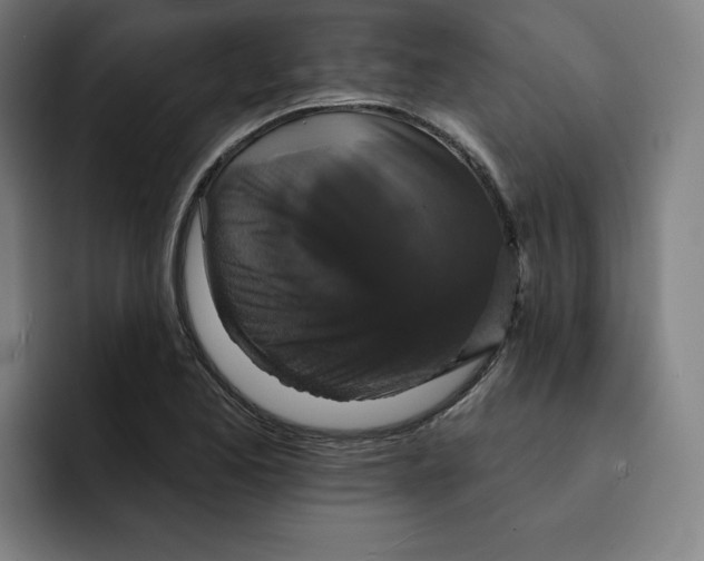 X0000091891173200709261634