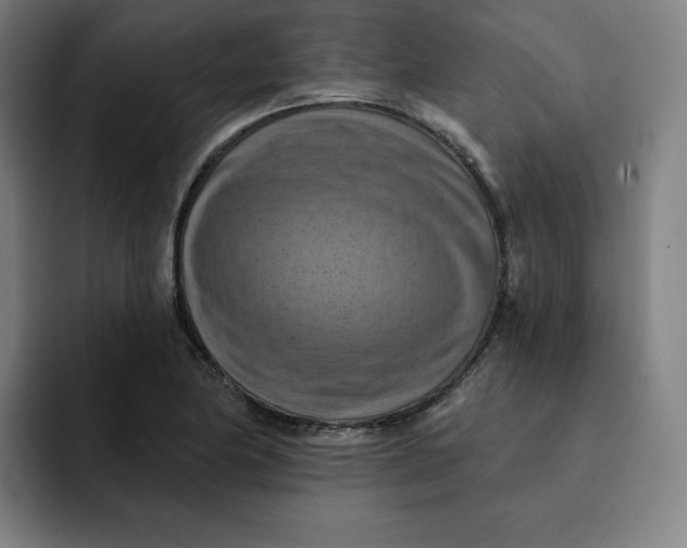 X0000091891174200709261634