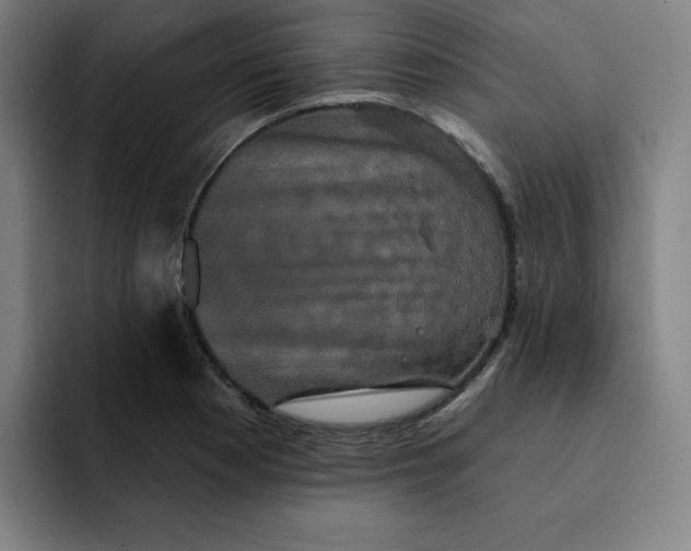 X0000091891177200709261634