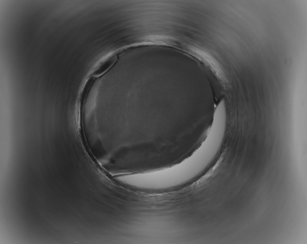 X0000091891180200709261634