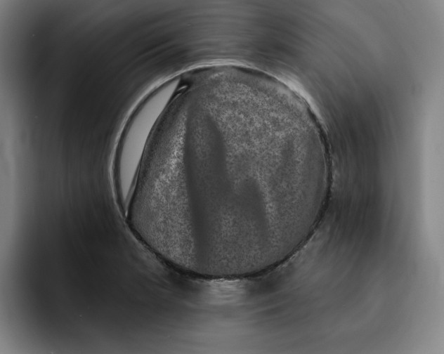 X0000091891181200709261634