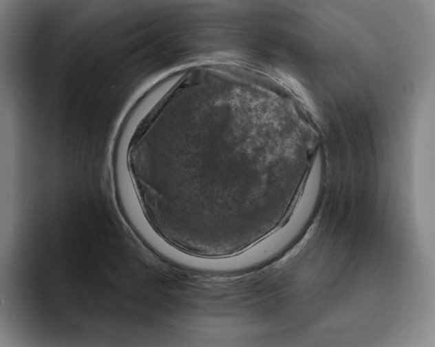 X0000091891184200709261634