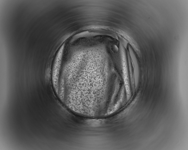 X0000091891185200709261634