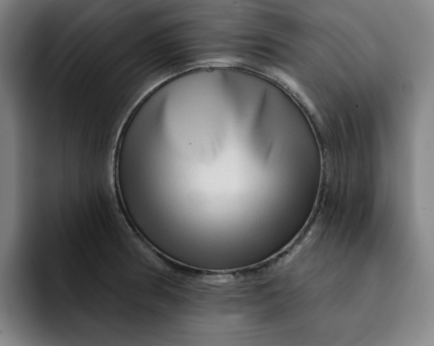 X0000091891186200709261634