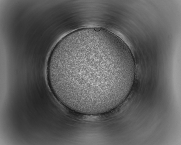 X0000091891187200709261634