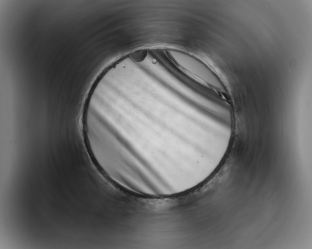 X0000091891189200709261634