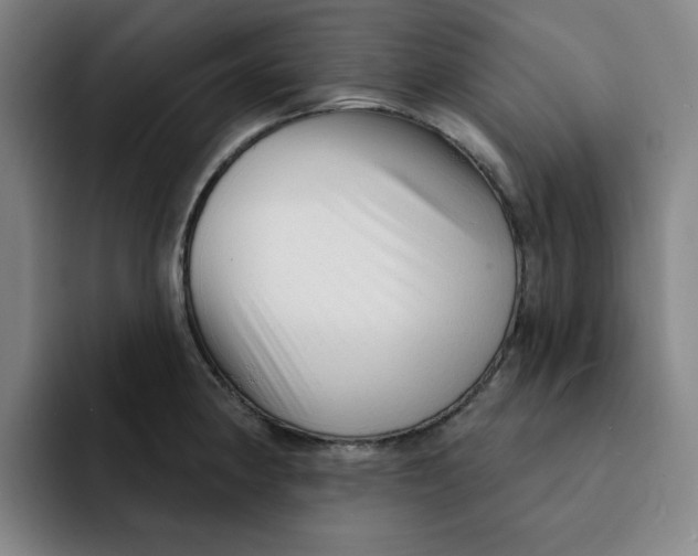 X0000091891190200709261634