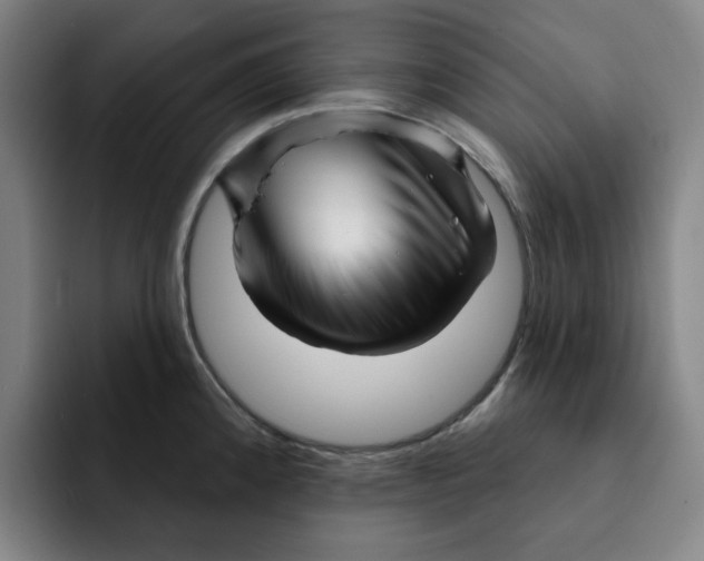 X0000091891192200709261634