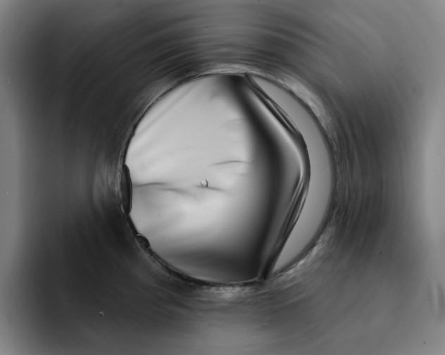 X0000091891193200709261634