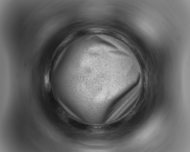 X0000091891198200709261634