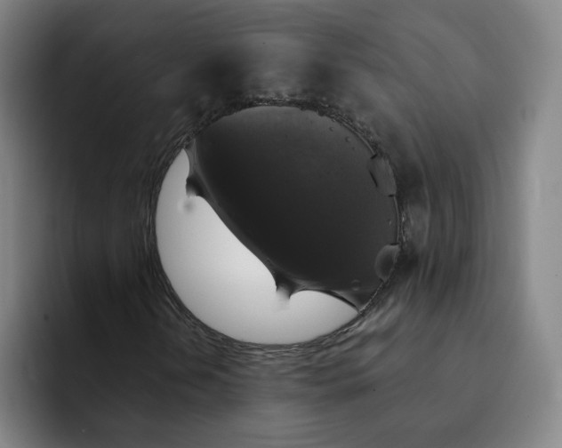 X0000091891202200709261633