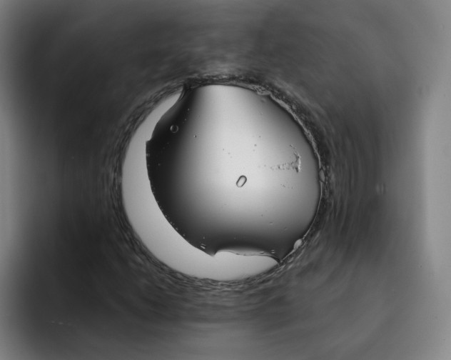 X0000091891206200709261633