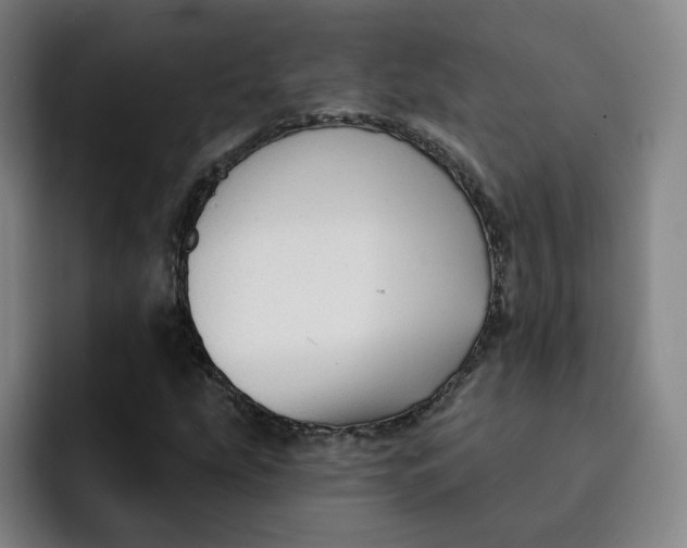 X0000091891207200709261633