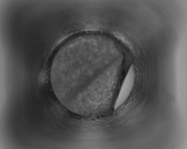 X0000091891208200709261633