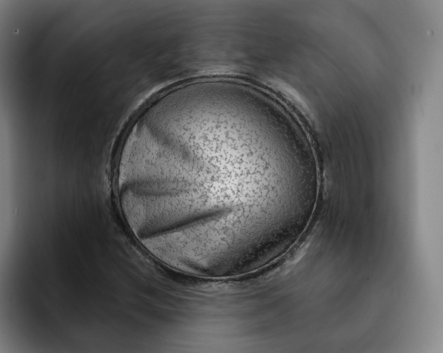 X0000091891212200709261633