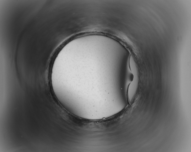 X0000091891216200709261633