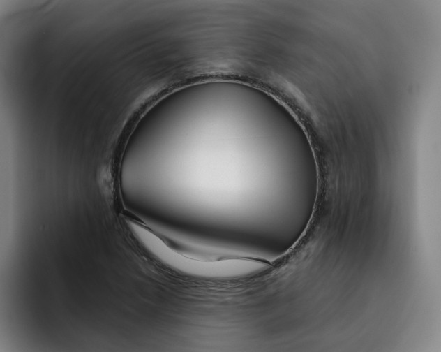 X0000091891218200709261633
