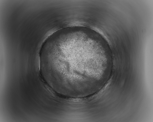X0000091891219200709261633