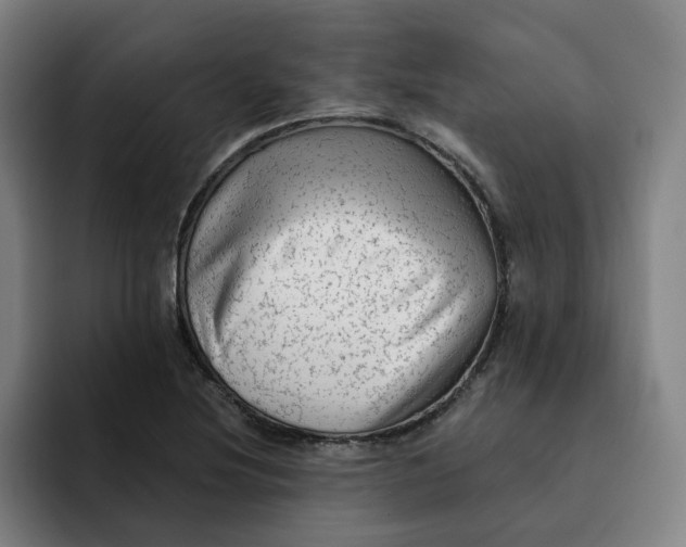 X0000091891220200709261633