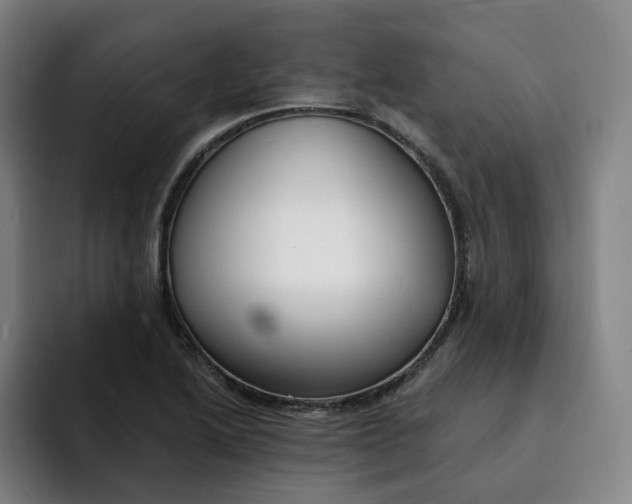X0000091891222200709261633