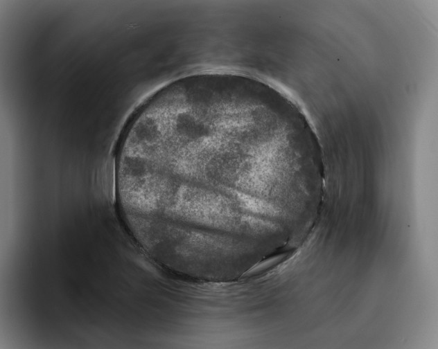X0000091891223200709261633