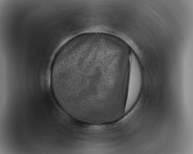 X0000091891224200709261633