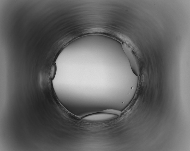 X0000091891225200709261633