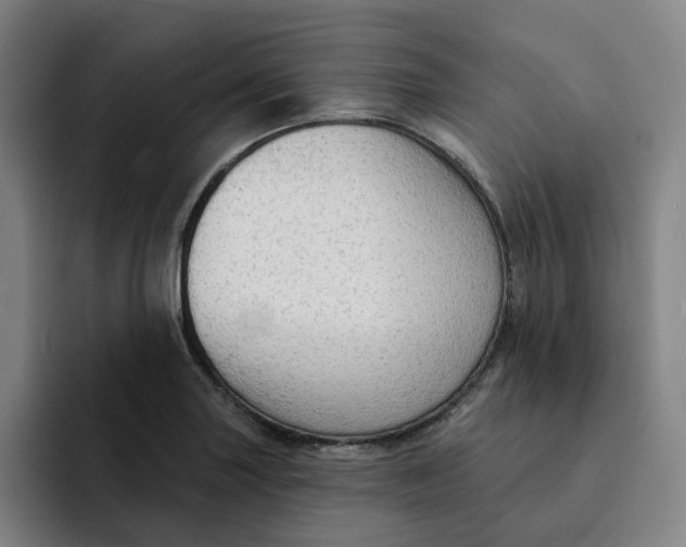 X0000091891227200709261633