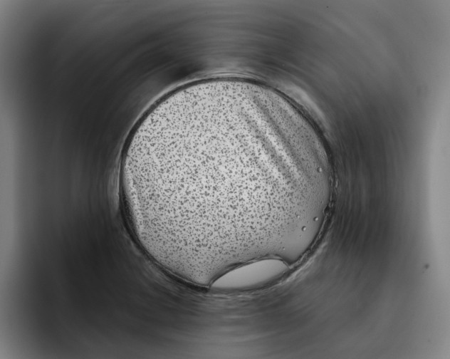 X0000091891228200709261633