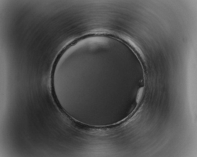 X0000091891229200709261633