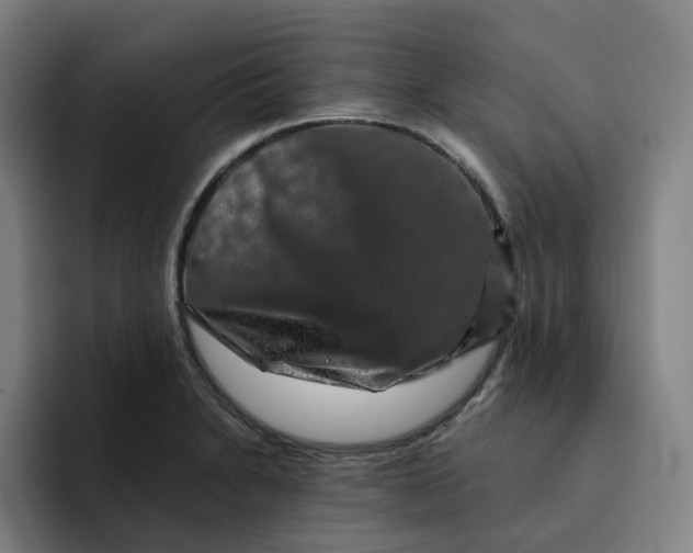 X0000091891230200709261633