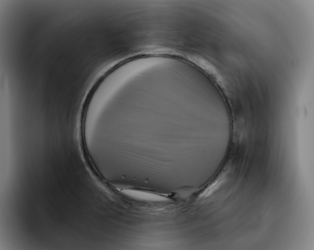 X0000091891231200709261633