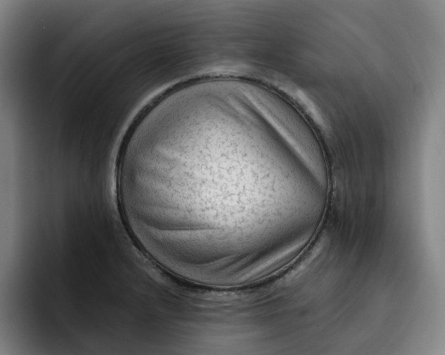X0000091891232200709261633