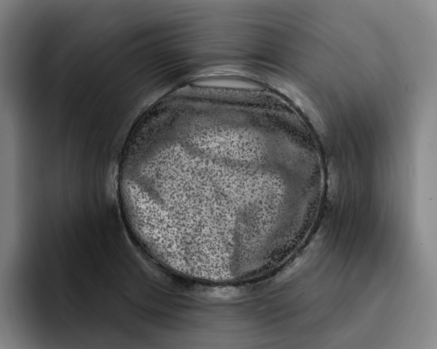 X0000091891233200709261633