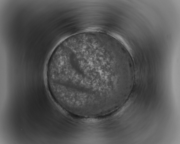 X0000091891235200709261633