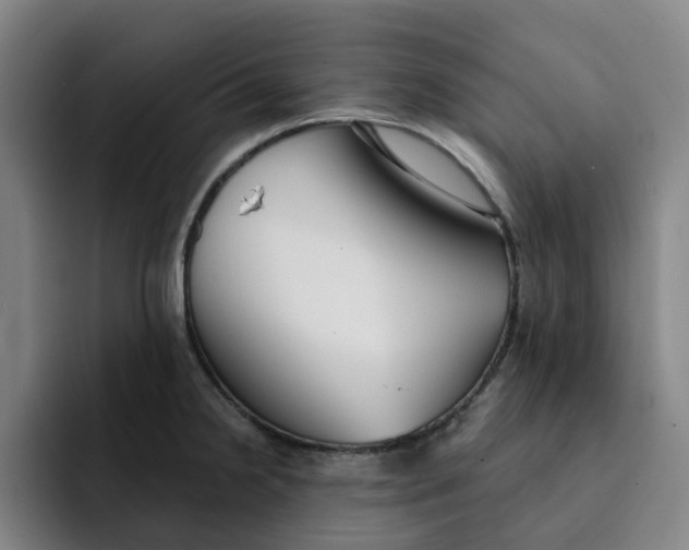 X0000091891238200709261633