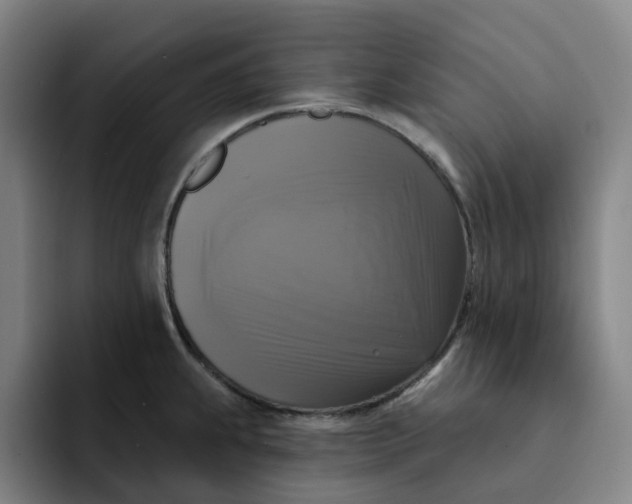 X0000091891239200709261633