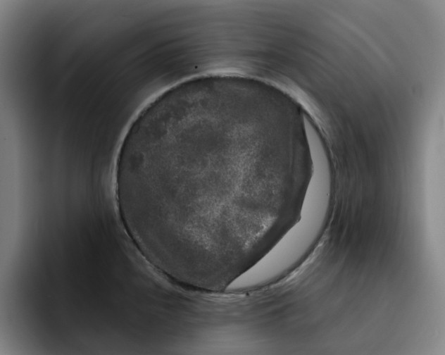 X0000091891240200709261633