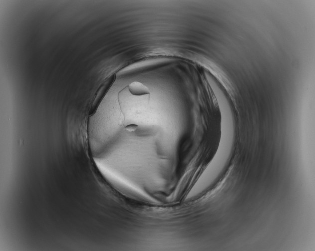 X0000091891241200709261633