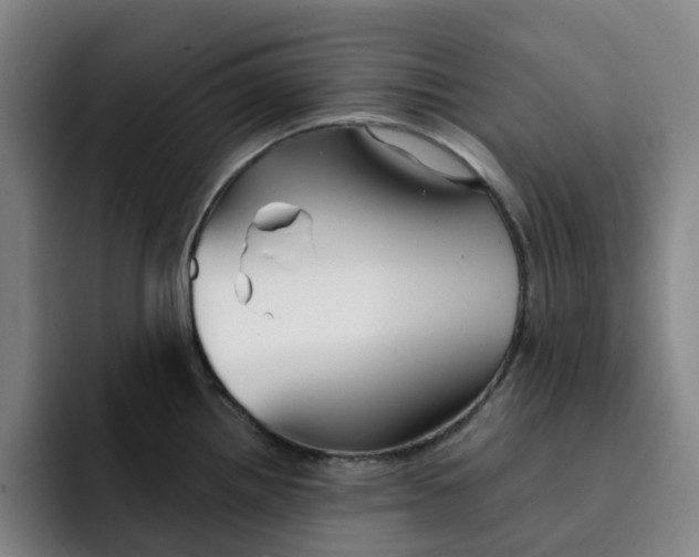 X0000091891242200709261633