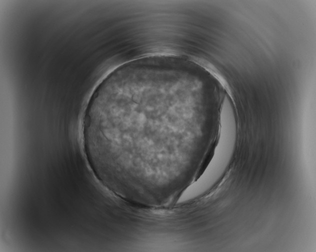 X0000091891243200709261633