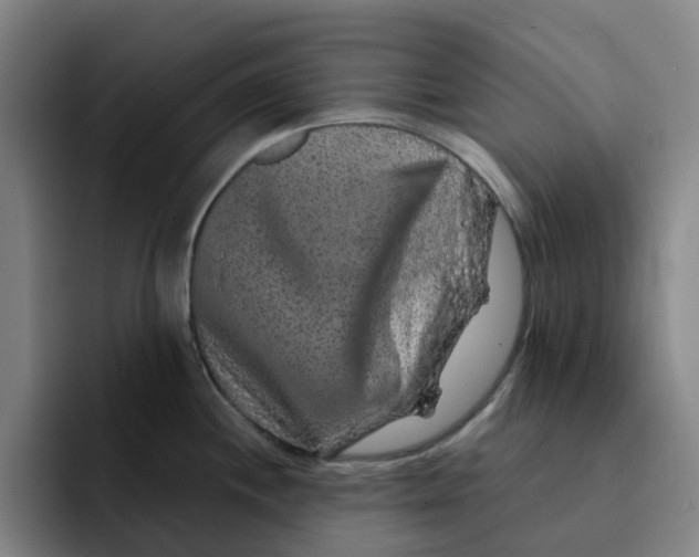 X0000091891244200709261633