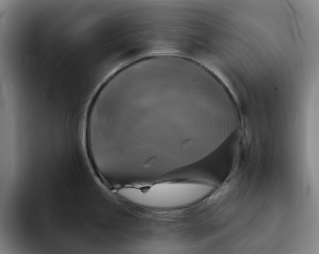 X0000091891245200709261633