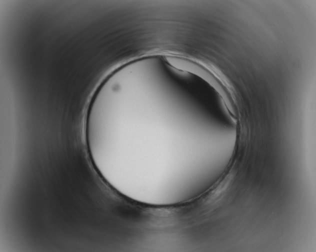 X0000091891246200709261634