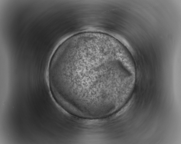 X0000091891247200709261634