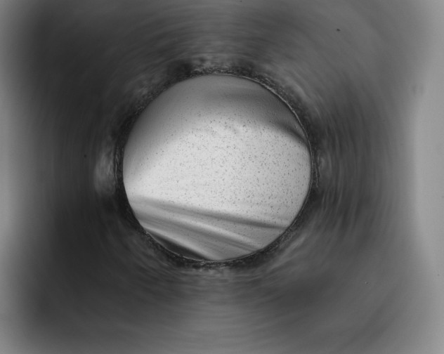 X0000091891250200709261633